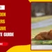 Are Golden Retrievers Aggressive Truth, Causes & Complete Behavior Guide (2026)