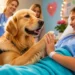 Golden Retriever Therapy Dog Guide - Benefits, Training & Real-Life Impact