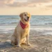 Is an English Retriever Bigger Than a Golden Retriever The Truth Will Surprise You