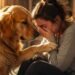 The Way This Golden Retriever Comforted His Owner Is Melting Hearts