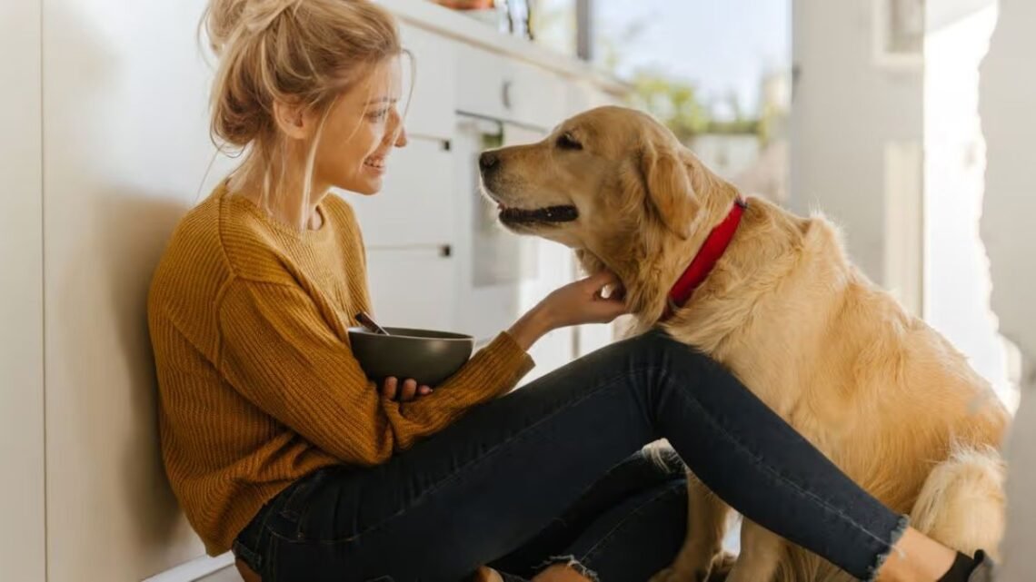 This One Trick Will Make Your Golden Retriever Happier Instantly