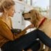 This One Trick Will Make Your Golden Retriever Happier Instantly
