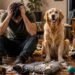 Why Some People Regret Getting a Golden Retriever